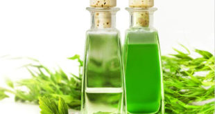 Tea tree oil for hair - Featured