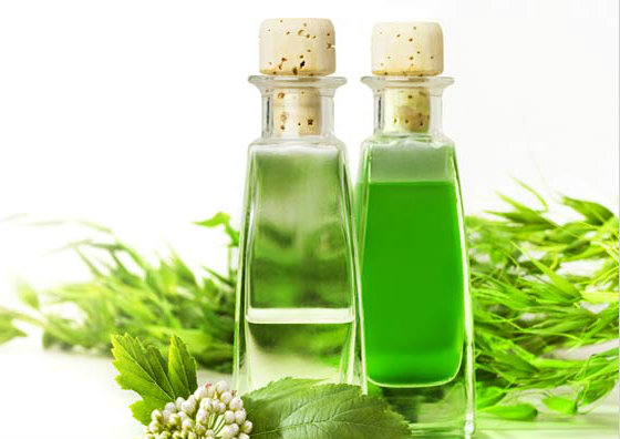 Tea tree oil for hair - Featured