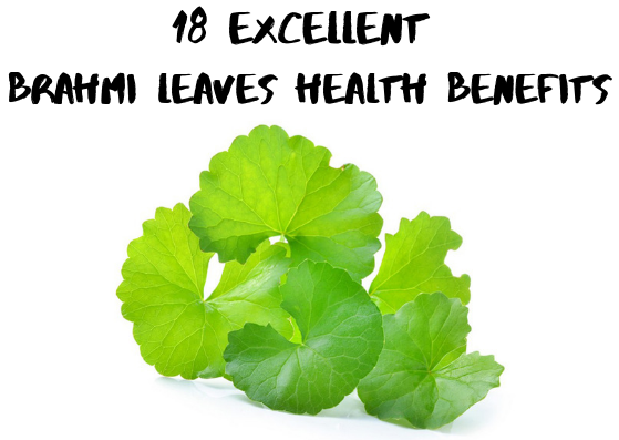 18-brahmi-leaves-health-benefits-lifestylica